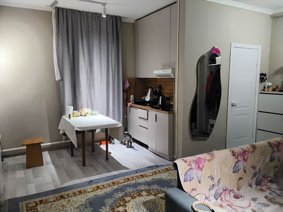 Квартира студия на цокольном этаже