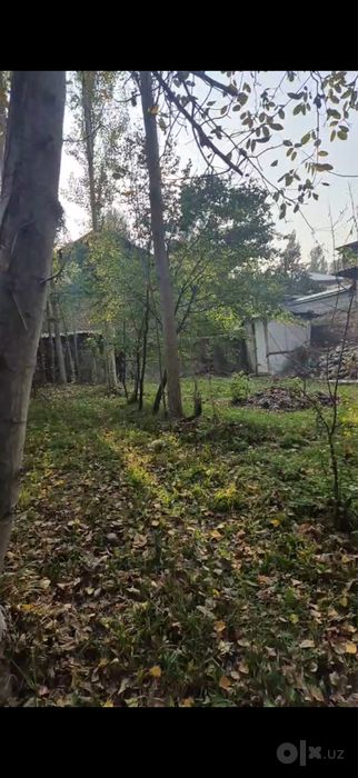 Дача сотилади, Чодак
