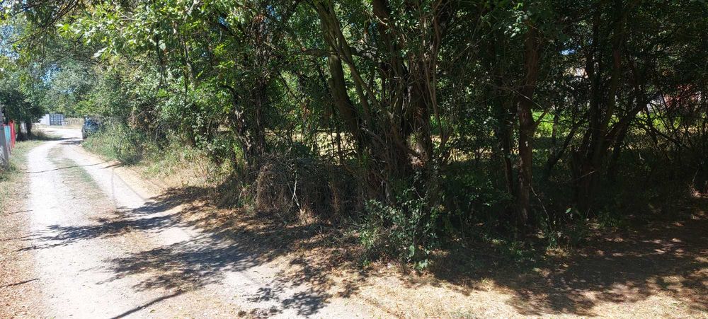 Продава се Парцел в Перник, Църква - 1440 кв.м за 46 €/кв.м - Снимка #8