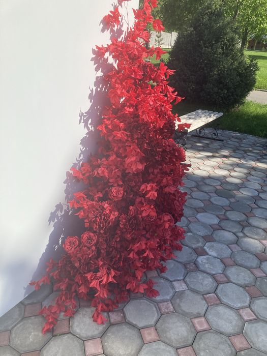 Продам Цветочный куст