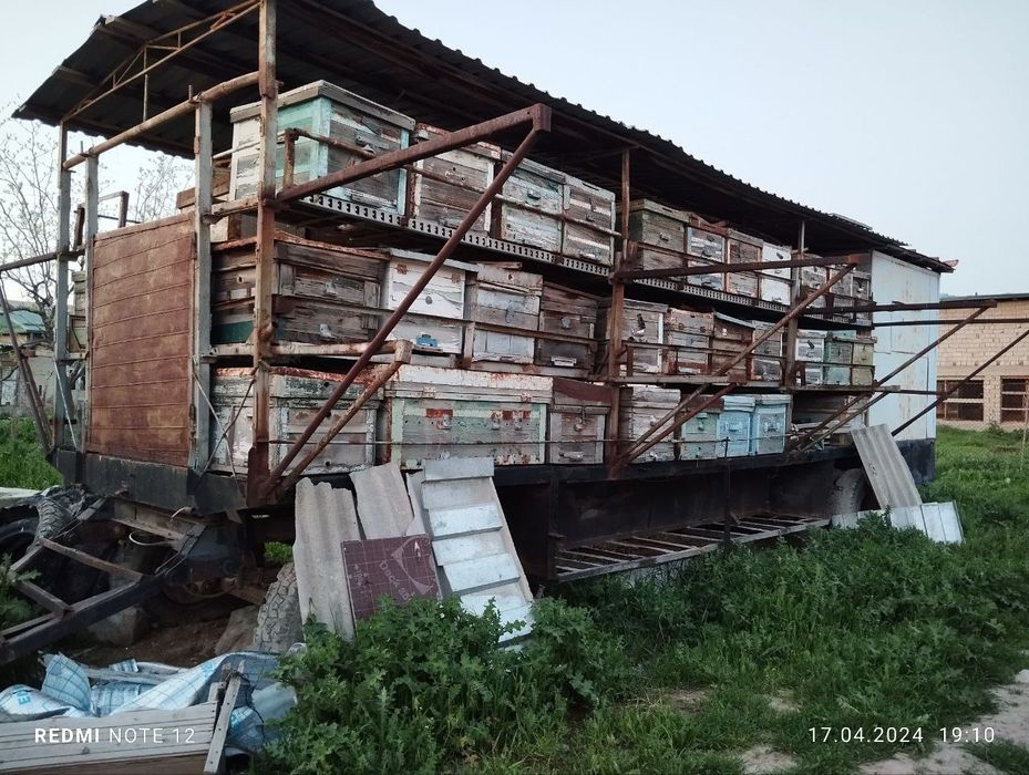 Асалари вагон. Асалари