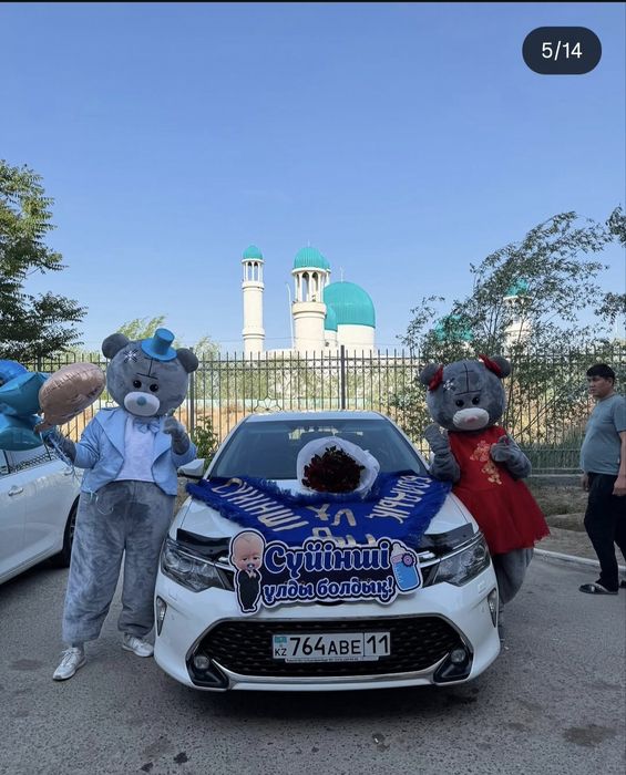 Мишка тедди прокат