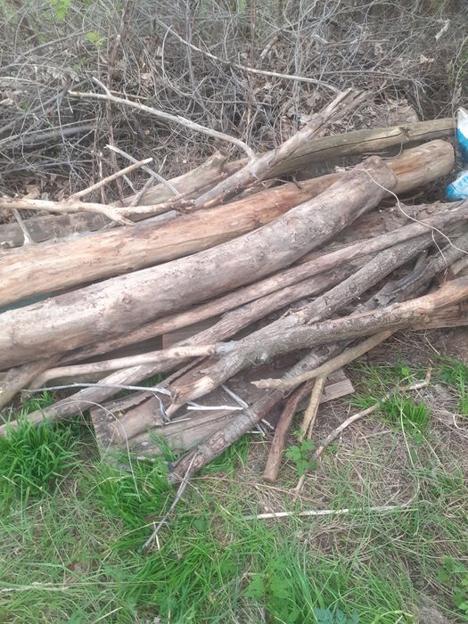 Продам дрова карагаш