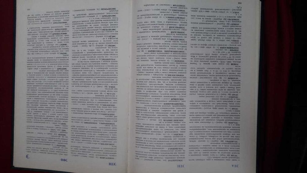 Книги за руски език / Речник: „Словарь иностранньIх слов“