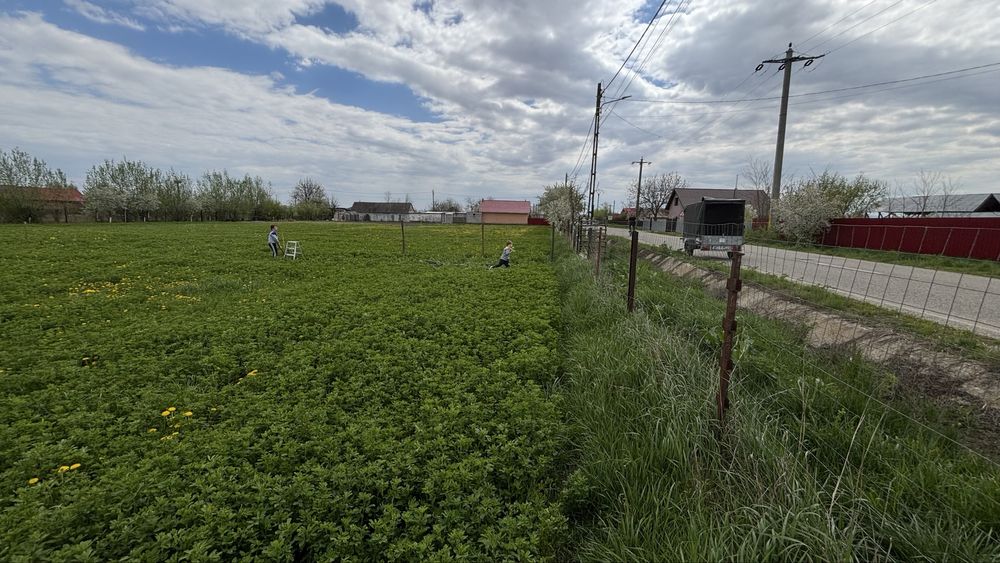 Teren intravilan utilitat