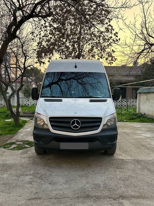 Sprinter Max Benzin-Gaz