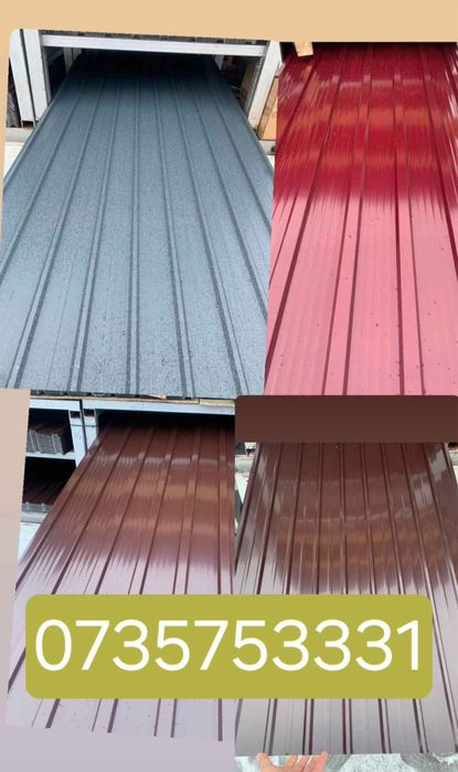 Tabla cutata colotata