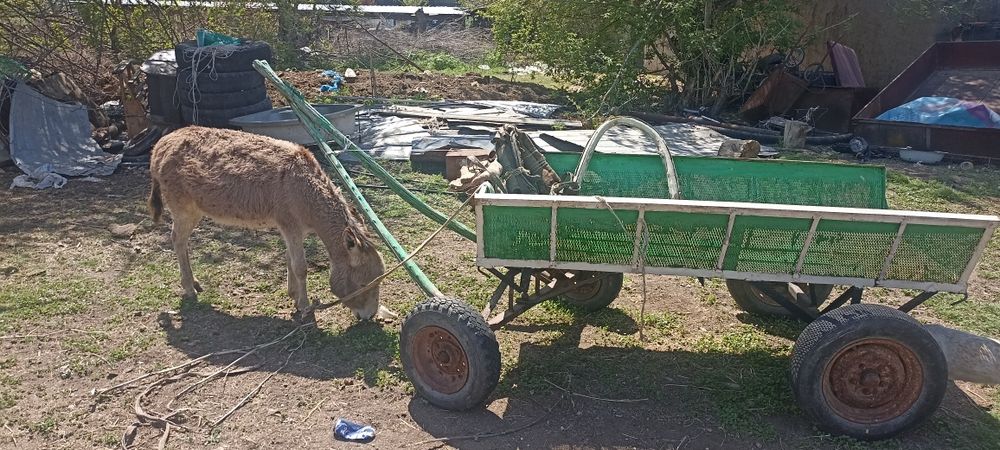 Есек арба сатылады