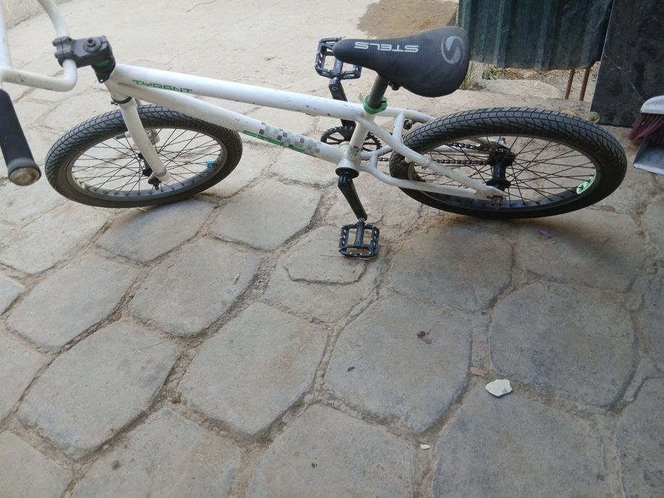 Tayls velosiped  sotiladi.