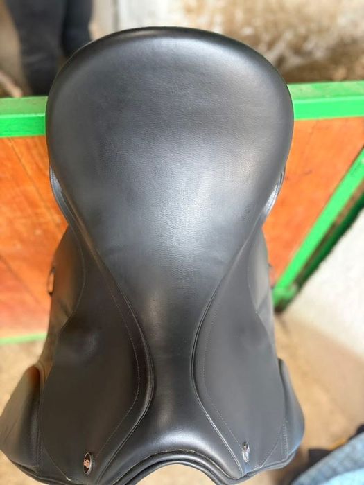 Sa dresaj Waldhausen 17.5