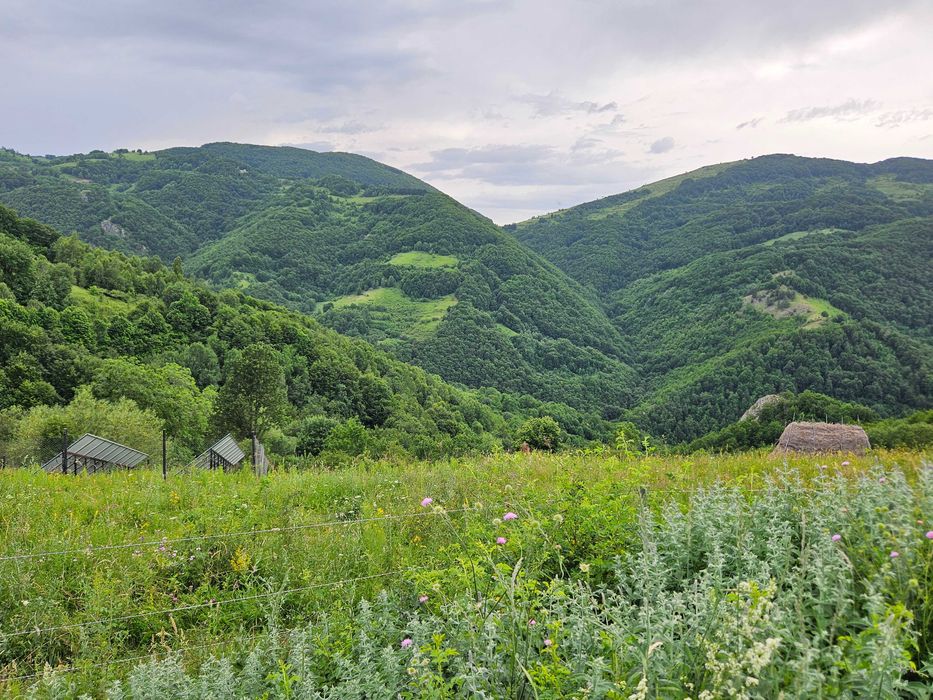 Teren de vanzare pe Transalpina de Apuseni