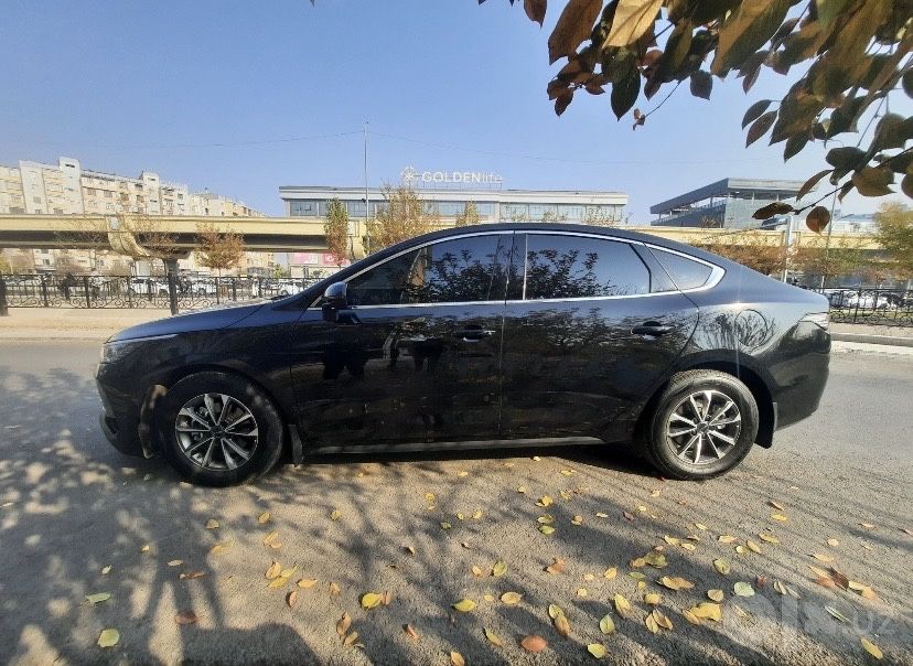 BYD chazor Arenda