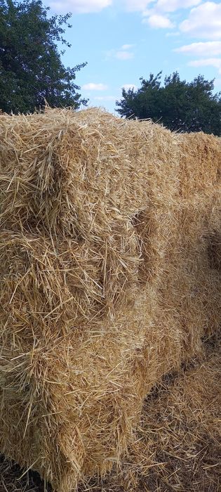 Vând baloti paie de grau