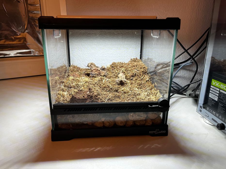 Террариум 20/20/20