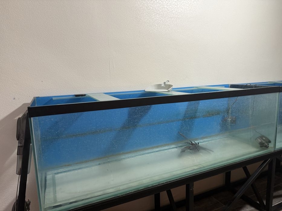 Продам 2 аквариума