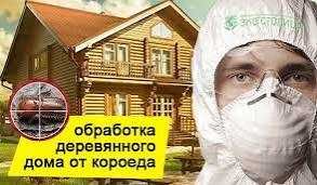 Ағашқұрт дәрілеу / Шымкент/