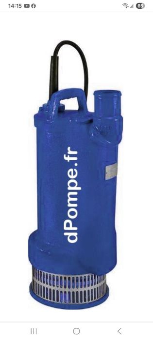 Pompa sumersibila Caprarri