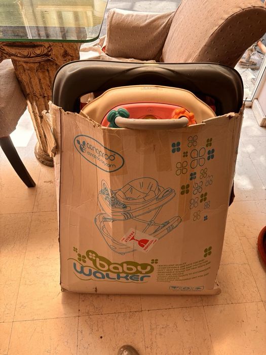 Паяк проходилка Cangaroo