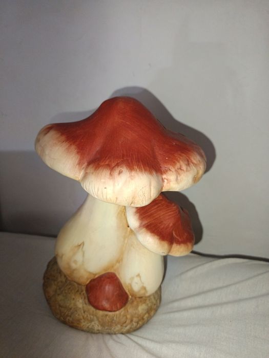 Ciuperca decorativa de gradina