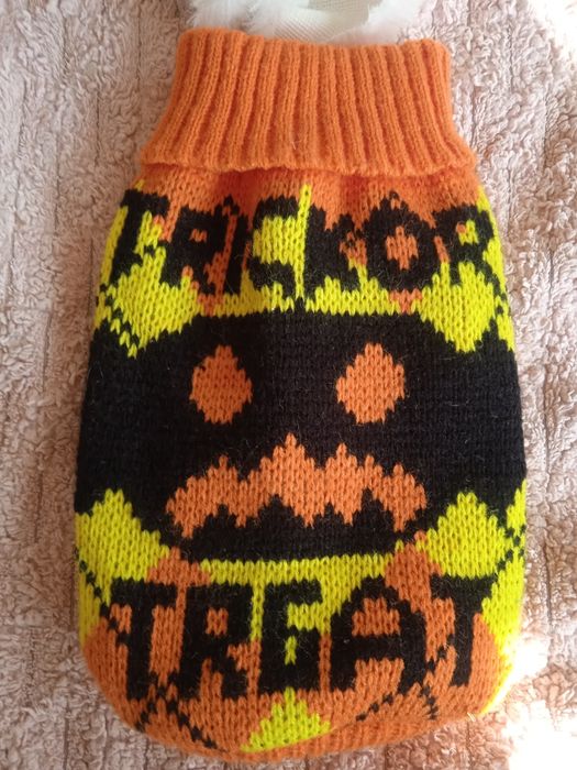 Костюмчик для питомца.