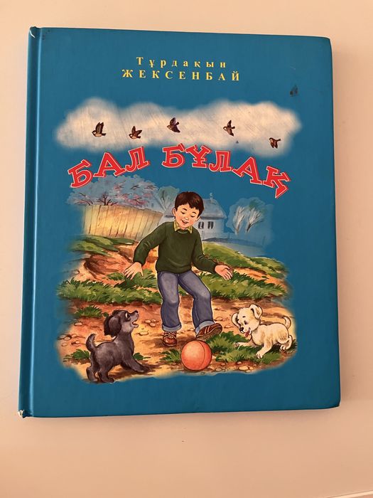 Книга «Бал бұлақ»