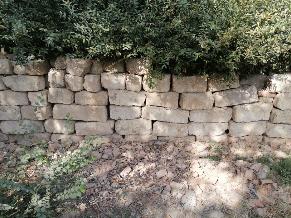 kombinat yerlaridan 6 sotix Sotiladi