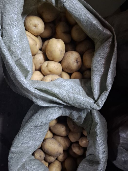 Продам картофель дачный.