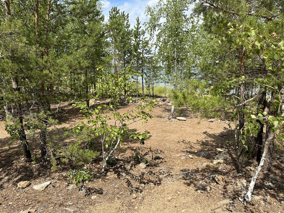 Участок на берегу озера Шалкар