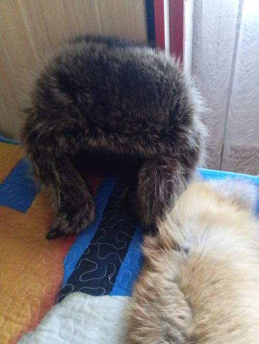 Шапка-ушанка енот