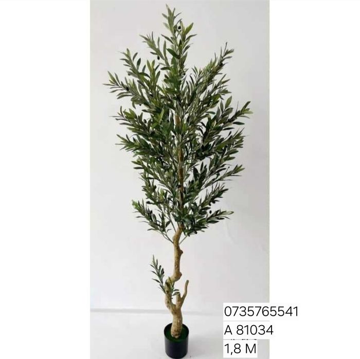 Palmier maslin copac exotic frunze cu aspect natural