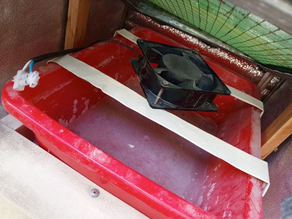 Inkubatr 200 ta Tovuq tuxumi 500 ta bedana tuxumi sigadi