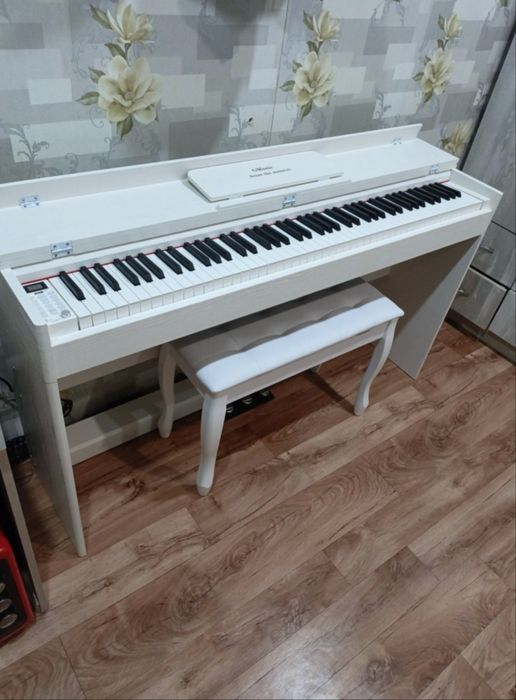 Цифровое фортепиано!