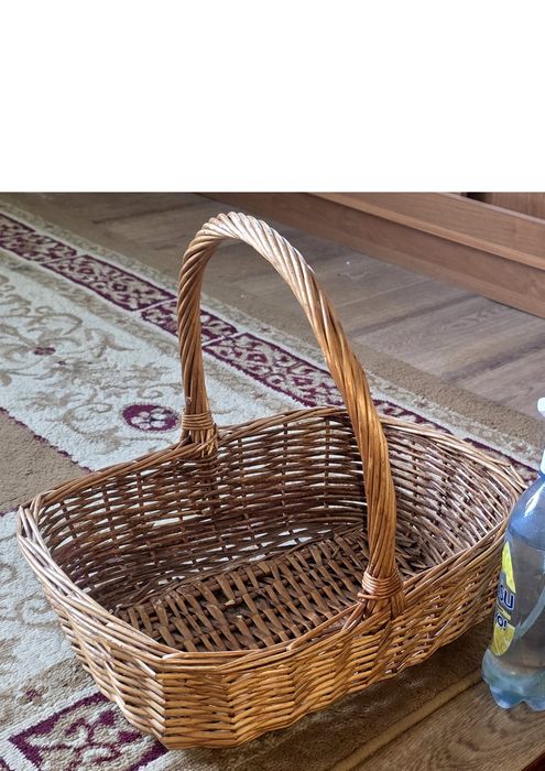 Продам алое от  500тг