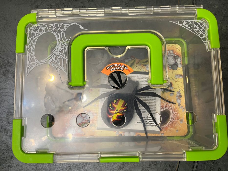 Логово паука игрушка