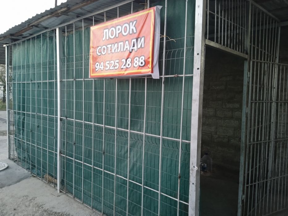 Laryok sotiladi ларйок сотилади