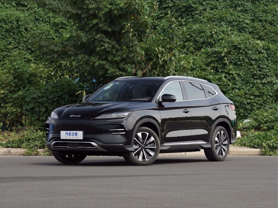 BYD Champion Restailing 2024/2025 EV