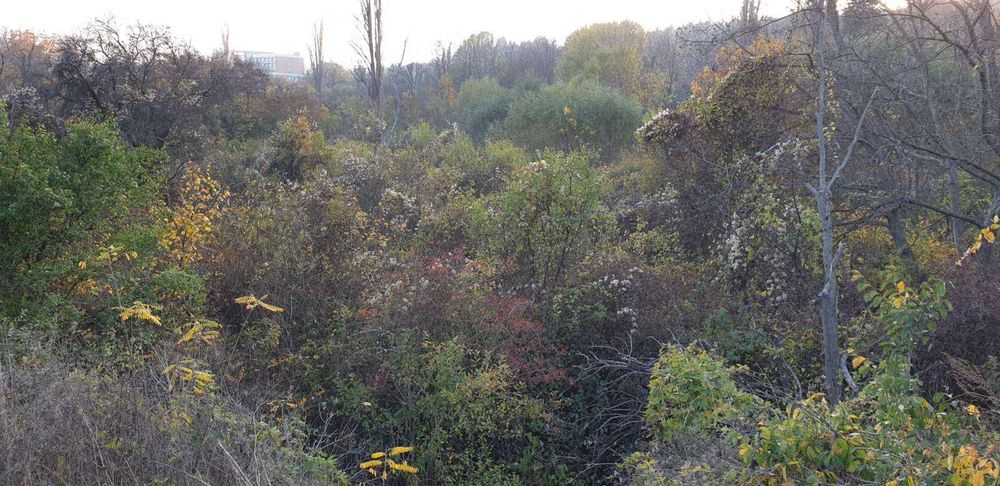 Продава се Парцел в Стара Загора, Загорка - 2335 кв.м за 23 €/кв.м - Снимка #5