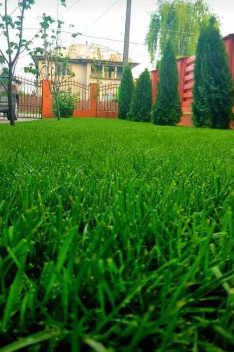 Gazon Rulou sisteme de Irigare