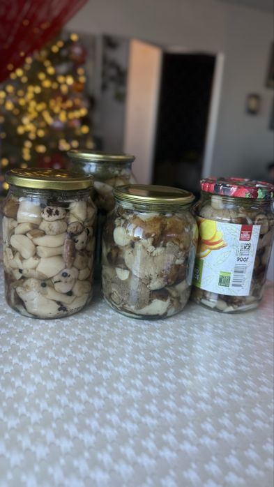 Продам грибы Шахтерики