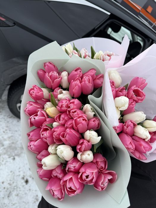 Тюльпаны в наличии