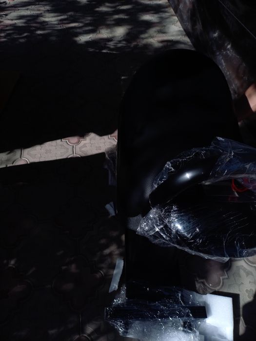 Электроная  лошадь