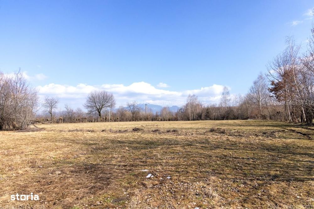 Bran Sohodol,5967mp+teren bonus,intravilan constructii P+E+M,comision0