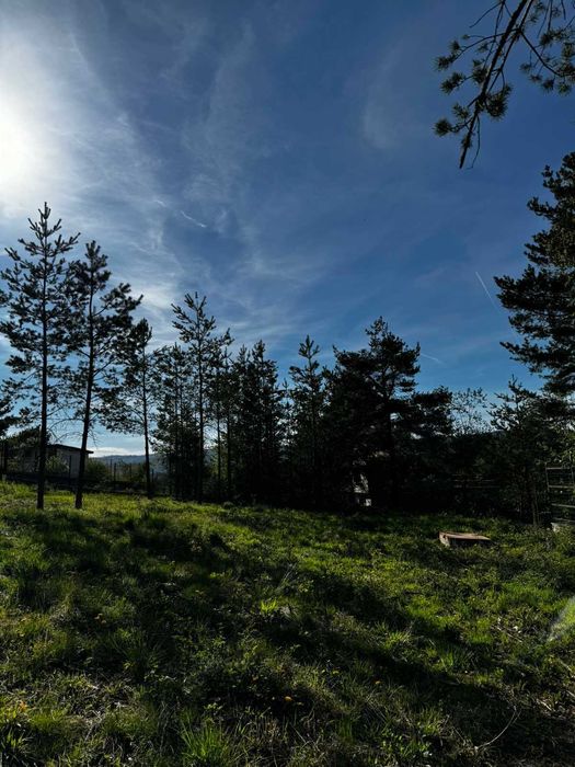 Продава се Парцел в с. Злокучене, Област София-област - 530 кв.м за 85 €/кв.м - Снимка #9