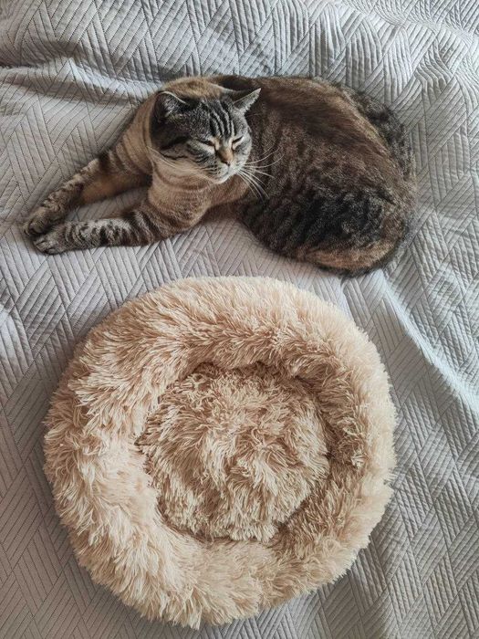 Легло за котка / кучета