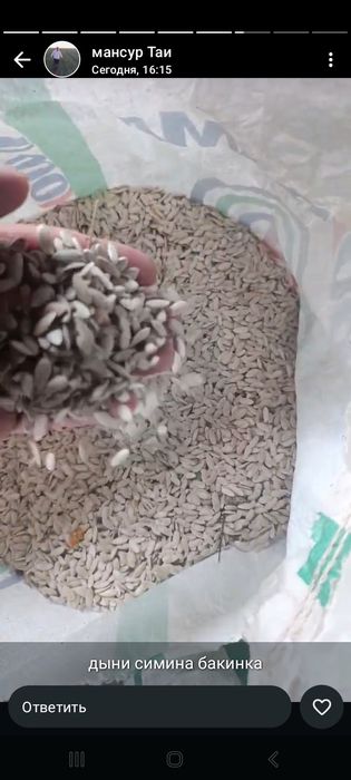 Семена дыни бакинка