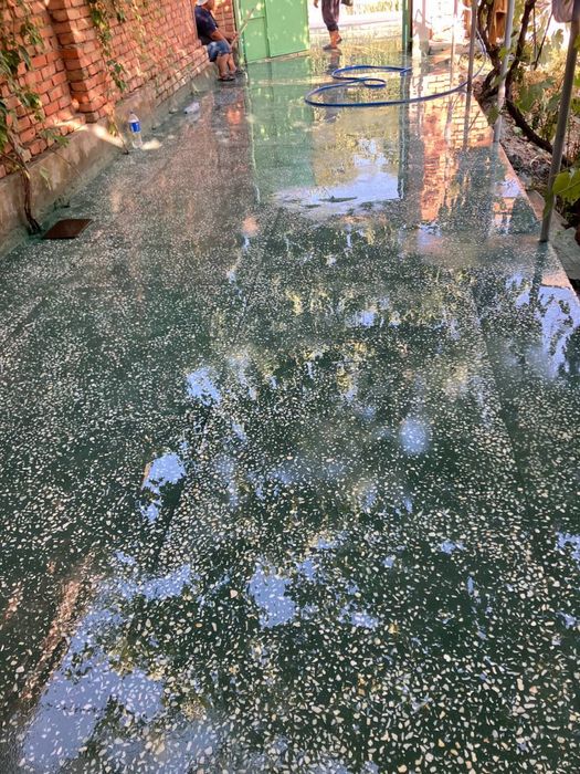 Мозайка куямиз ва стаяжка куйиб вирталёт киламиз