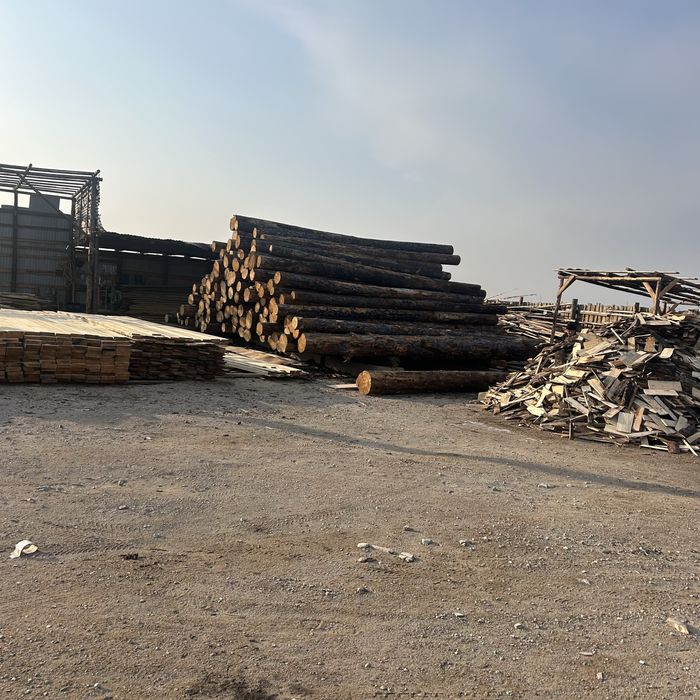 Доска  дрова город Косшы Астана