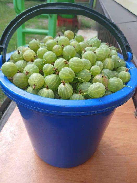 Продам дом в курортном районе