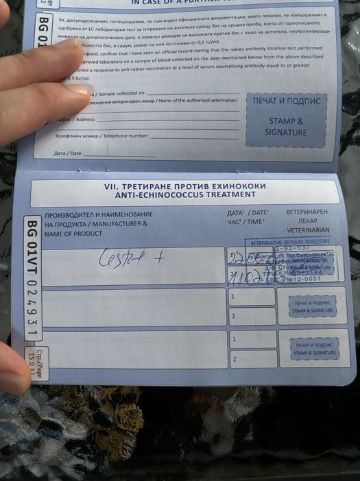 Нера търси своето семейство