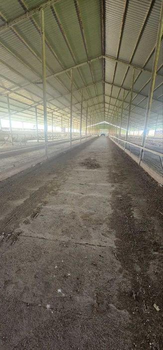 Ферма 10 Га по трассе Самарканд Карши